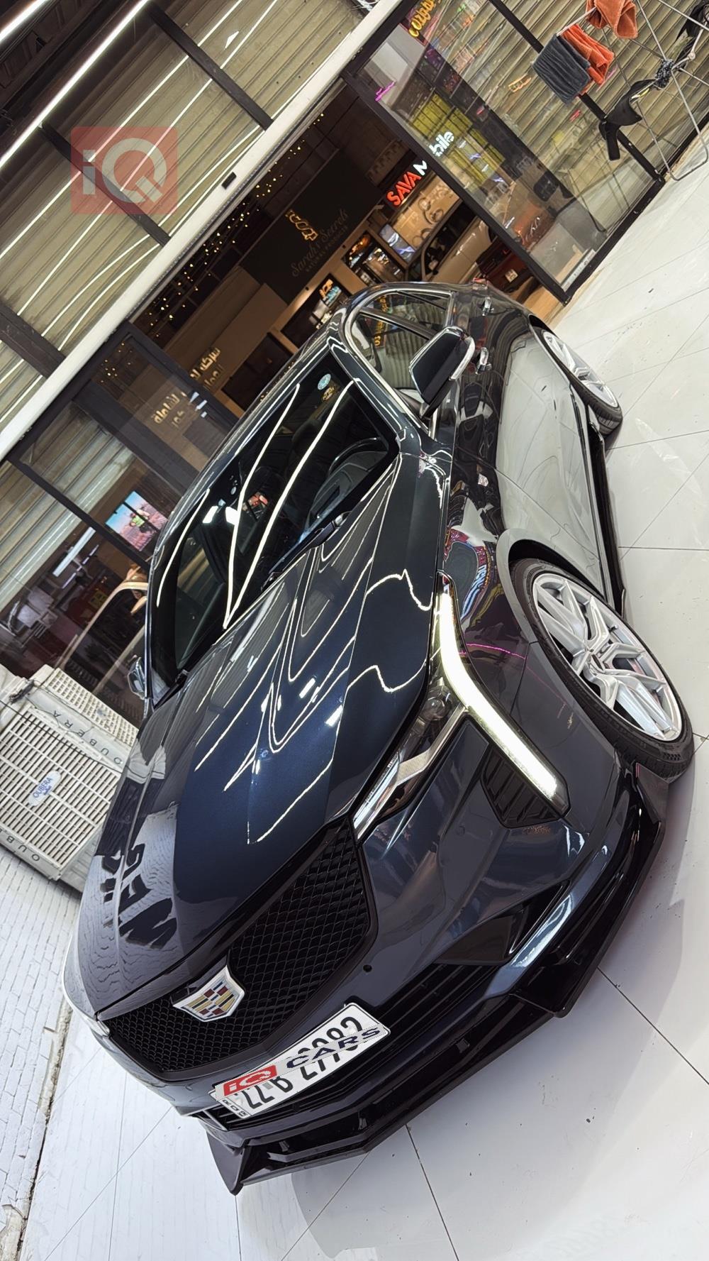 كاديلاك للبيع في العراق